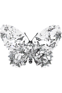 Transfer Butterfly Shaped 