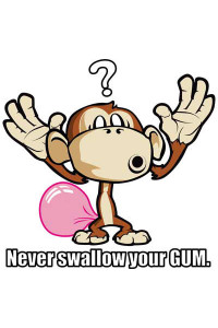 Transfer Never Swallow Your Gum 