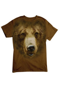 Transfer Bear Face 