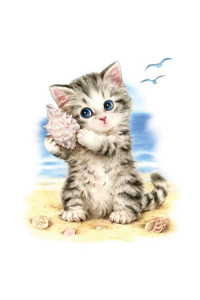 Transfer Seashell Kitten 