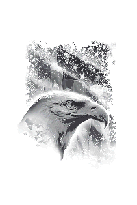 Transfer American Icon 