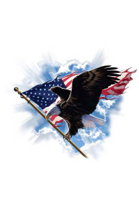 Transfer Patriotic Flying Eagle 