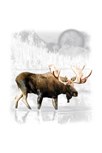 Transfer Moose Wilderness (darks Only) 