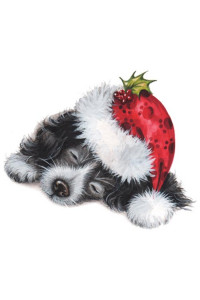 Transfer Santa Puppy 