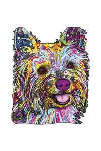 Transfer Yorkie 