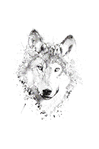Transfer Neon Wolf 