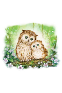 Transfer Owls In Green Forest 