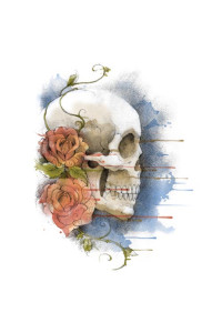 Transfer Watercolor Skull 