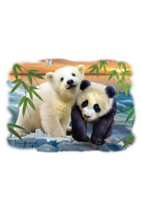 Transfer Bears 