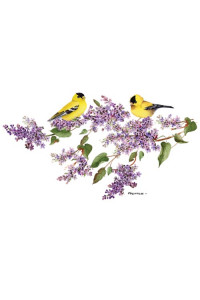 Transfer Lilac Goldfinch 
