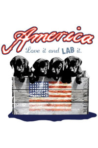 Transfer Lab It 