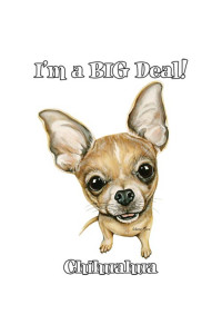 Transfer Chihuahua 