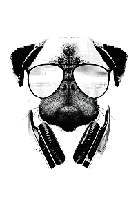 Transfer Dj Pug 