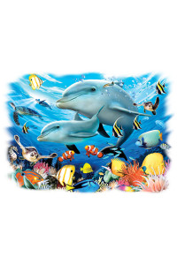 Transfer Dolphin Play 