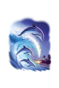 Transfer Riding The Wave 
