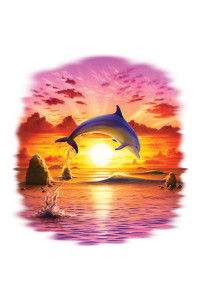 Transfer Day Of The Dolphin - Sunset 