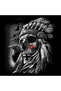 Transfer Chief Skull (darks Only) 
