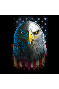 Transfer Eagle Stare 