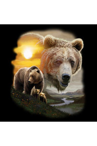 Transfer American Grizzly 