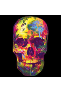 Transfer Painted Skull 