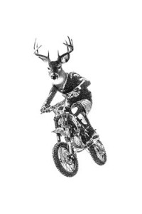 Transfer Bmx Deer 