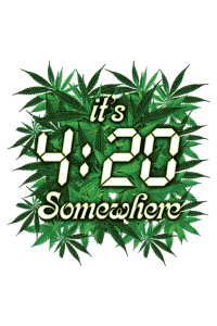 Transfer It's 4:20 Somewhere 