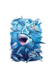 Transfer Shark Club 