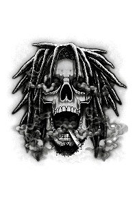 Transfer Rasta Skull 