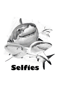 Transfer Sharks Selfie 