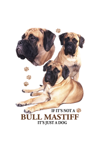 Transfer Bull Mastiff 