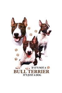 Transfer Bull Terrier 