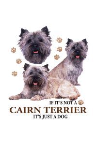 Transfer Cairn Terrier 