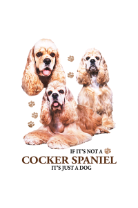 Transfer Cocker Spaniel 