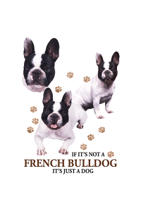 Transfer French Bulldog 