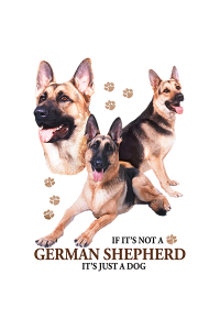 Transfer German Shepherd 