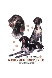 Transfer German Shorthair Pointer 