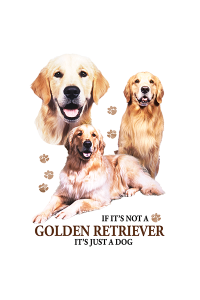 Transfer Golden Retriever 