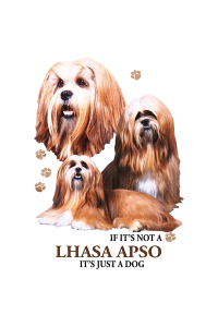 Transfer Lhasa Apso 