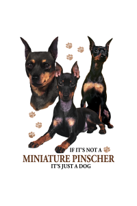 Transfer Miniature Pinscher 