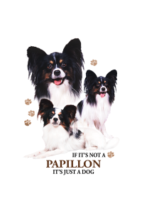 Transfer Papillon 