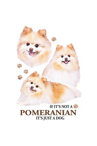Transfer Pomeranian 