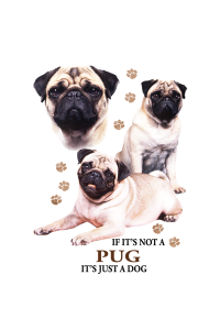 Transfer Pug 