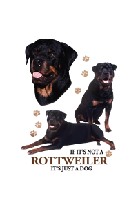Transfer Rottweiler 