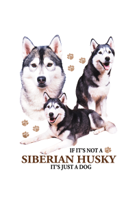 Transfer Siberian Husky 