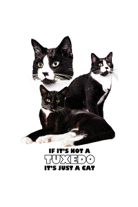 Transfer Tuxedo 