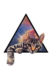 Transfer Galactic Cat 