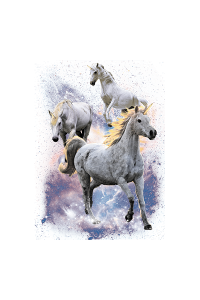 Transfer Space Unicorns 