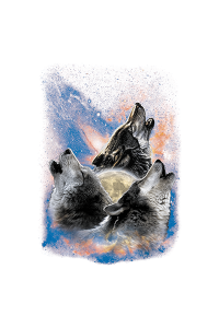 Transfer Space Wolves 