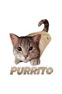 Transfer Purrito 