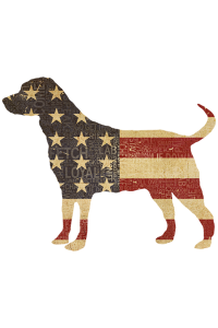 Transfer American Dog 